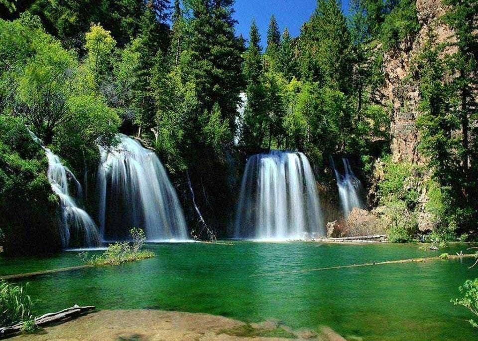 Soul of Palestine 🎨🇵🇸 tweet media