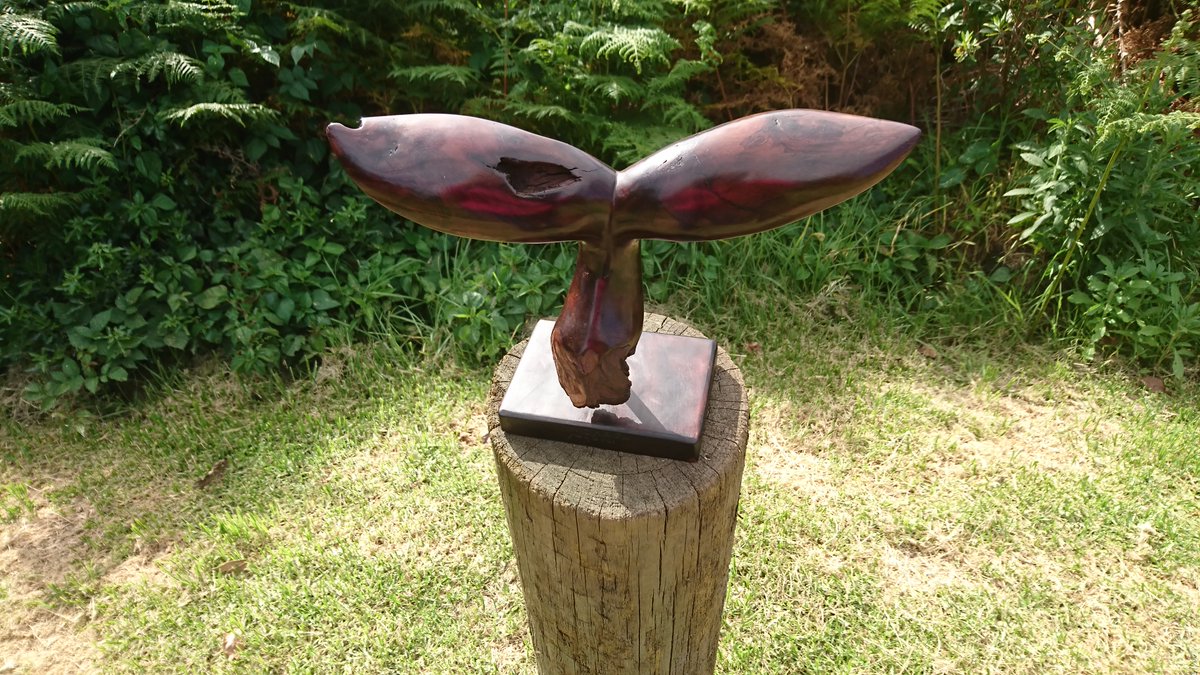 N2RS-Westhill tweet media