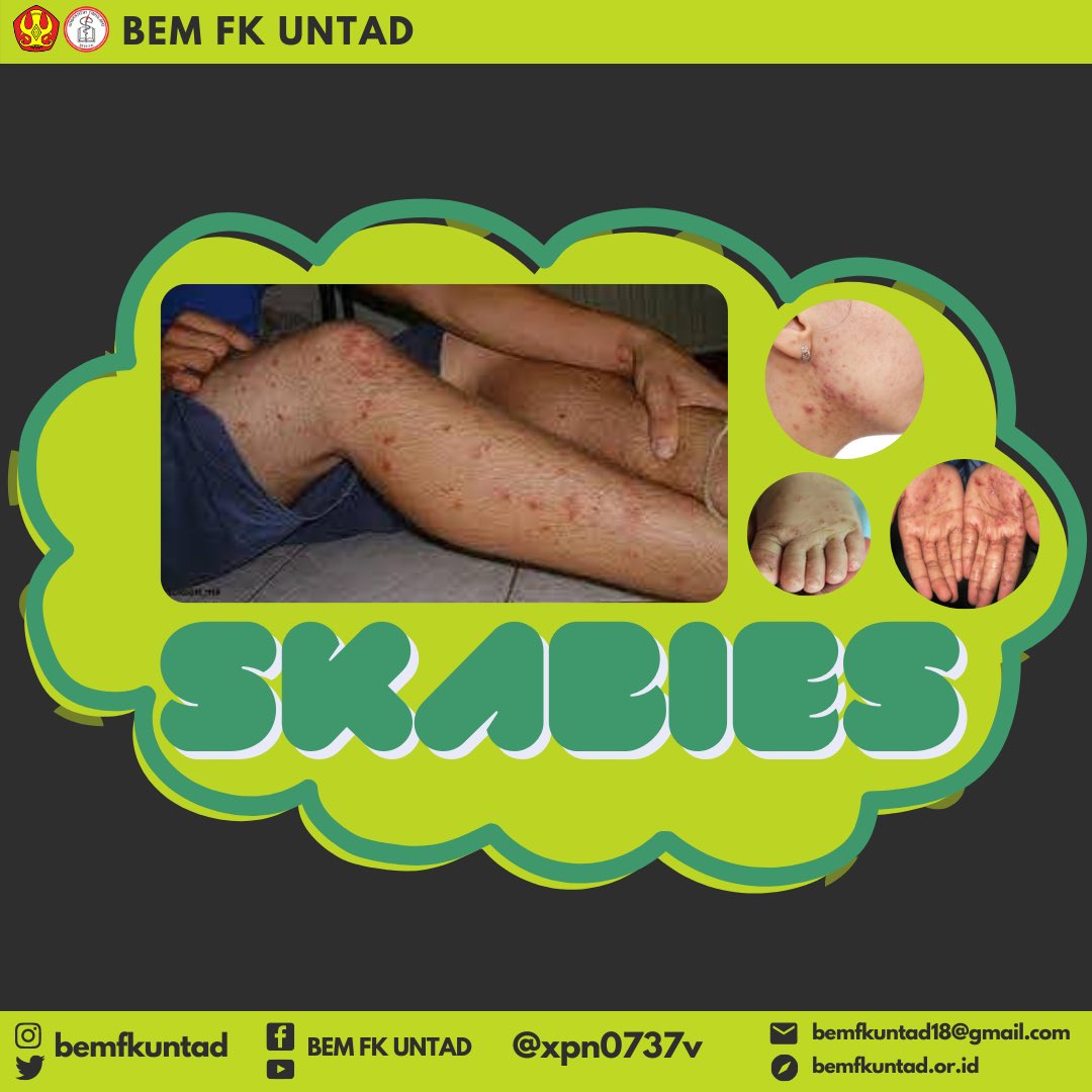 BEM FK UNTAD tweet media