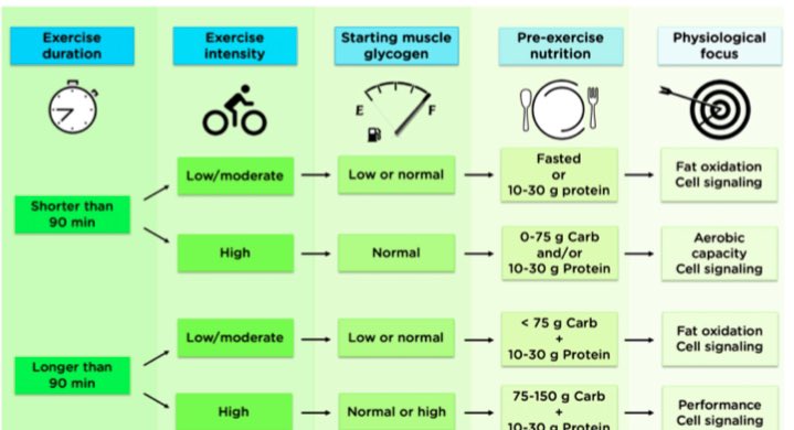 AntelmPujol's tweet photo. ⚠️¿QUÉ COMER ANTES DE ENTRENAR? (Abro hilo)

👉🏻Dependerá de las características del entrenamiento: duración, intensidad y adaptaciónque buscamos (entre otros)

🤓Aquí algunas recomendaciones basadas en ciencia, como siempre👇🏻 https://t.co/8GvdvVnvpl