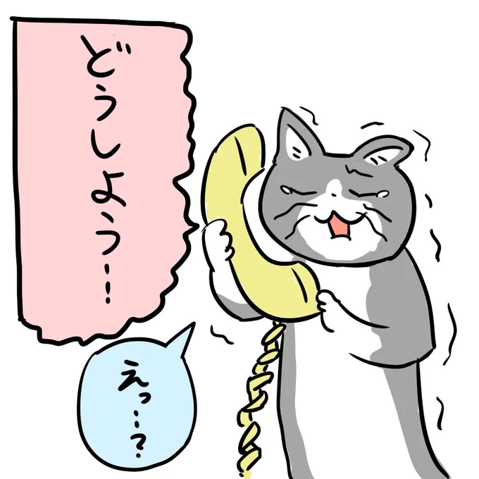 電話猫たち 