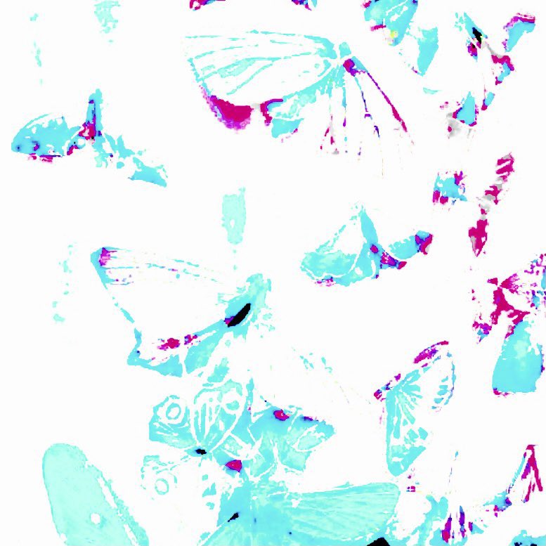 ᚕ ᱸ 𓈒 ᵼ 🅶w͜͡en̸ ⁺ 𓎆𓈒 ᚋ 제니╺ $96 י 𓈒 † ลฟตท 𓎆 𓈒 ⤬