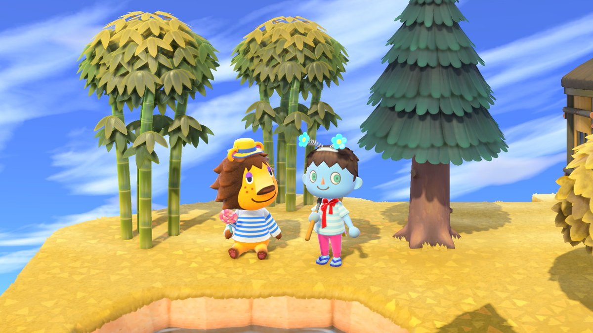 Marcus Frewin-Ridley (@marcusfrewinrid) on Twitter photo 