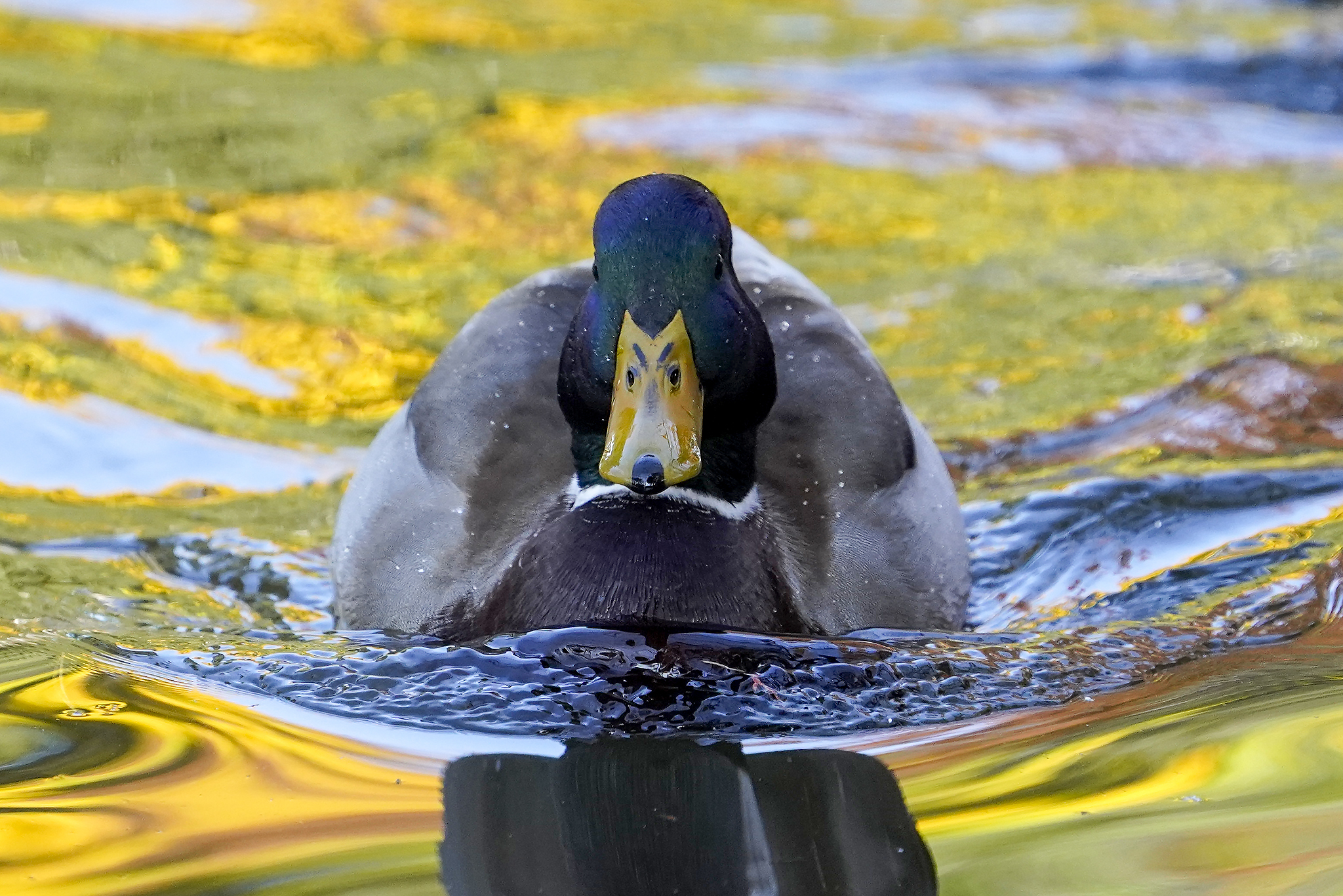 See Heromery S Tweet Twitter