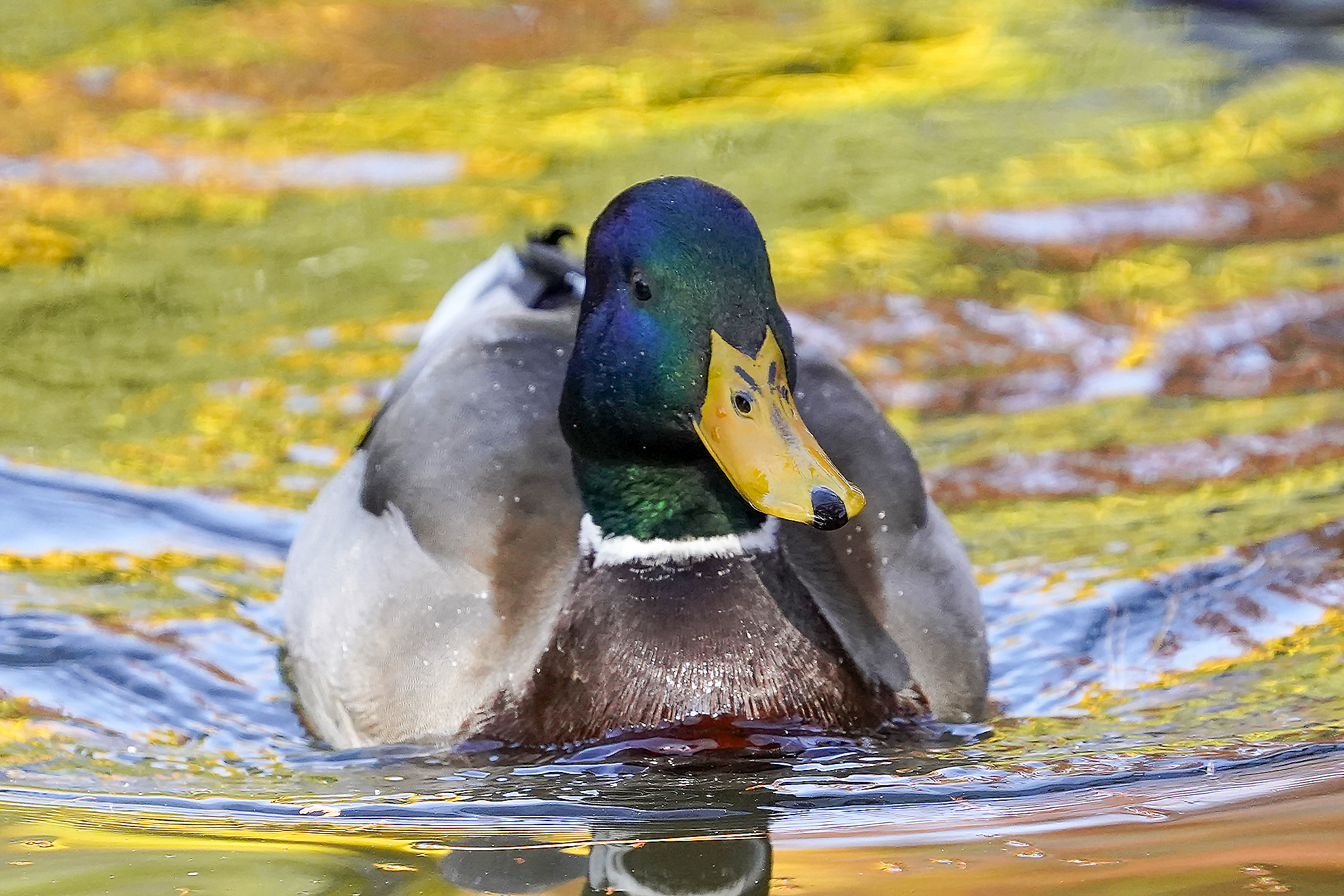 See Heromery S Tweet Twitter