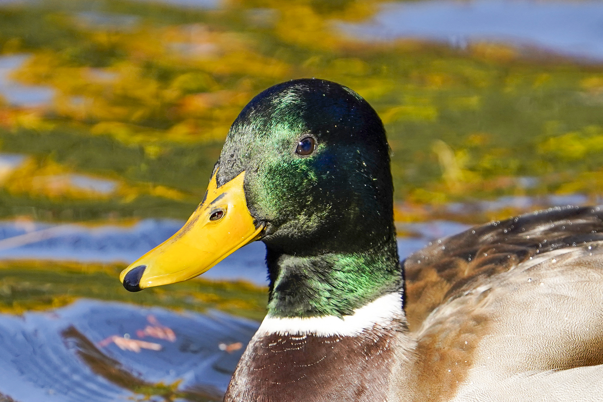 See Heromery S Tweet Twitter