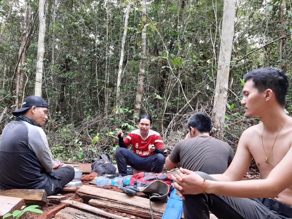 Dengan mereka para penebang pohon liar !!! #stoppenebanganliar #kalimantan #kalimantanbarat