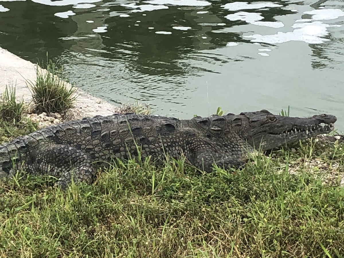 Just another South Florida morning...enjoy your weekend and stay safe :)