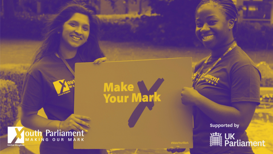 Aged 11-18? Then you need to #MakeYourMark.  Click on the link and decide which National issue you think @UKYP should campaign on and which local issue we should tackle. ukparliamentweek.org/en/make-your-m…