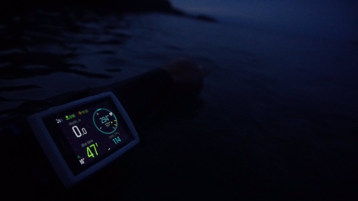 JDScuba's tweet photo. Bright colour screen of the #eoncore making it much easier to check dive details and navigation during dark conditions and night dives
#suuntodive #divewales #ukdiving #temperateseas #dandŵrcymru #underwaterwales
@OThreeLtd @SuuntoDivingUK @ScubaverseMedia @DiveMagazine https://t.co/nGm65HHrqQ