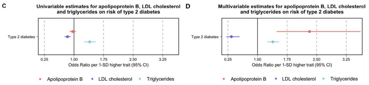 This was replicated in conventional 2-sample MR using DIAMANTE, where pronounced effects were identified. Fascinatingly, the effects of apoB on T2D were directionally opposite to LDL-C in multivariable MR:Higher apoB -> higher risk of T2DHigher LDL-C -> lower risk of T2D