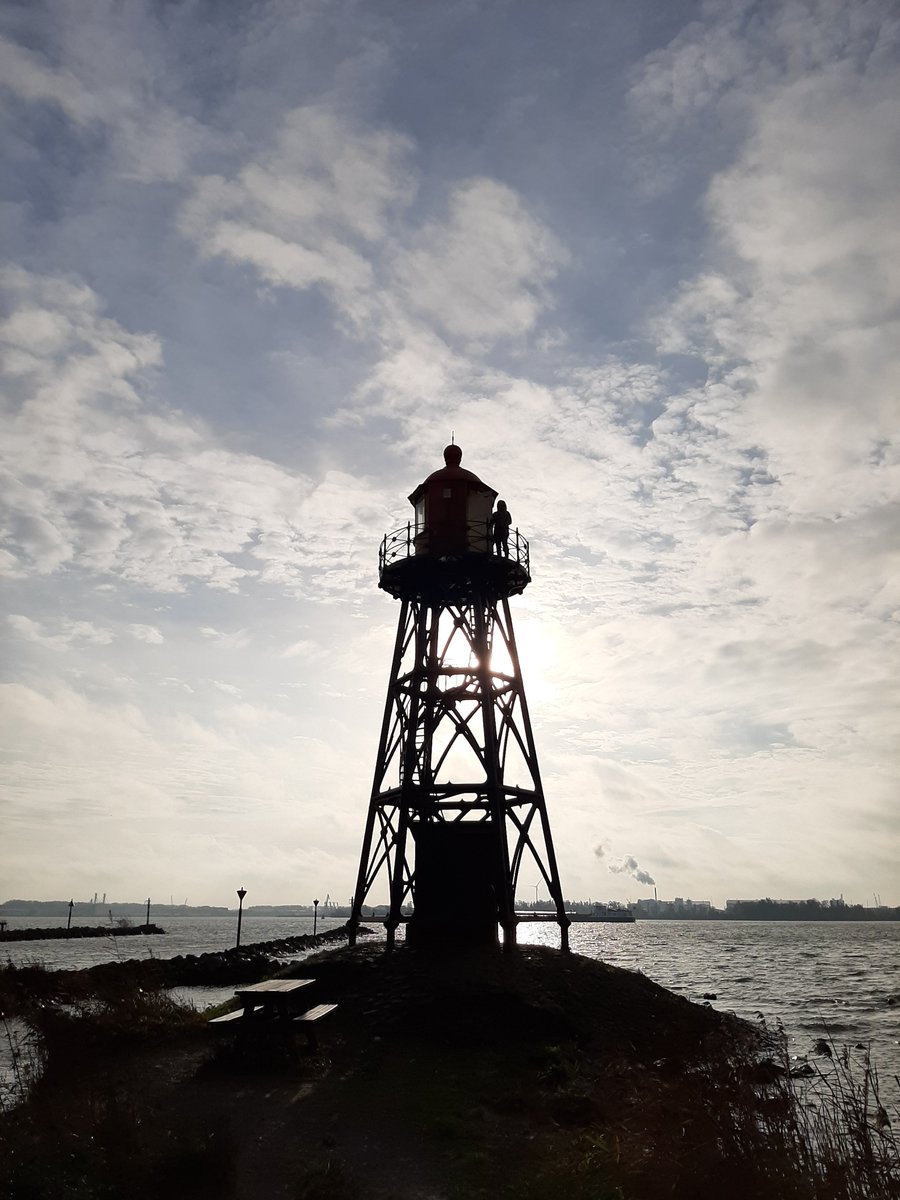 Heerlijke wandeling in de Oeverlanden Hollandsch Diep. Prachtige deltanatuur. 9 soorten eenden en een late heidelibel! #NLDelta