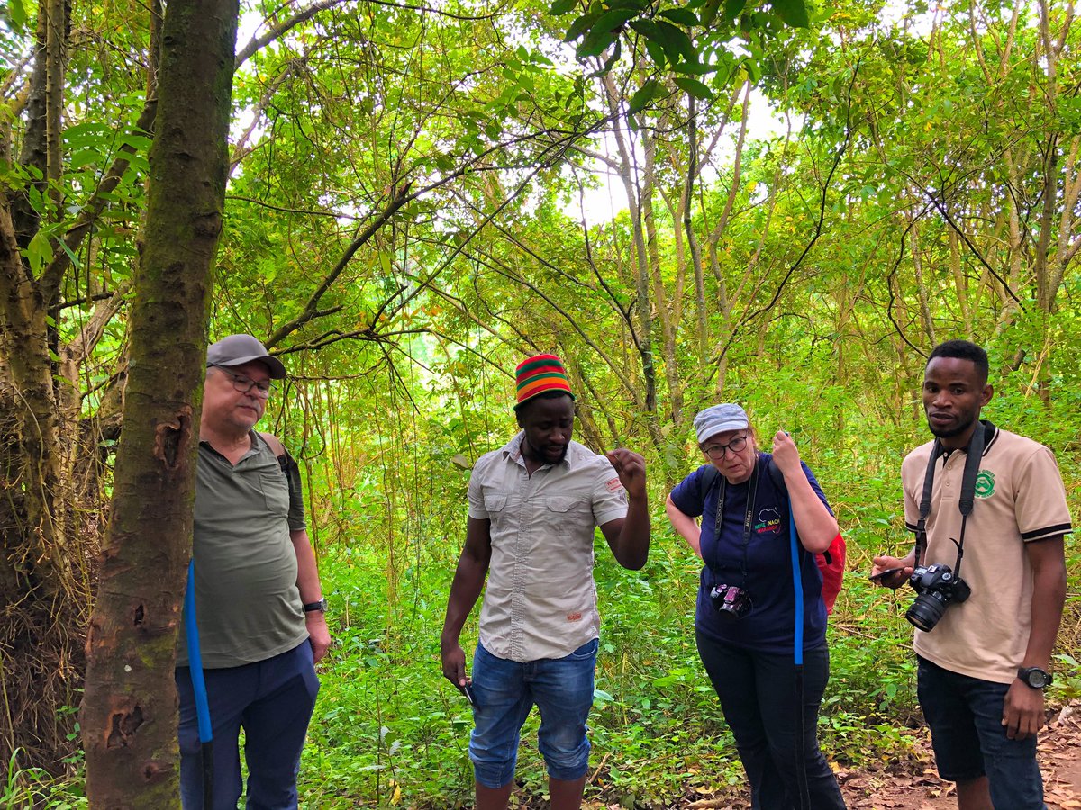 JobSoyekwo's tweet photo. Nature speaks a lot when we go there, and it talks to us, Do you know that nature reminisces your soul.
#entanglesipi #UnmaskingUg #tbt #travel #mtb #waterfalls #outdoor #hiking #photooftheday #ig #BetterTogether https://t.co/N0jrFEspwD