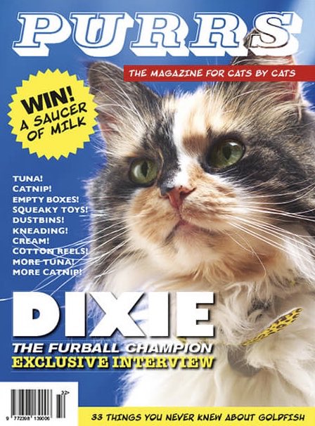TheCatMagazine's tweet image. FREE MAGAZINE!! Download a copy for your cat now!! 100 pages of feline fun in Purrs, the magazine for cats written by cats!! MIAOW!! 
thecatmag.co.uk/freemag/  
#CatsOfTwitter #Caturday