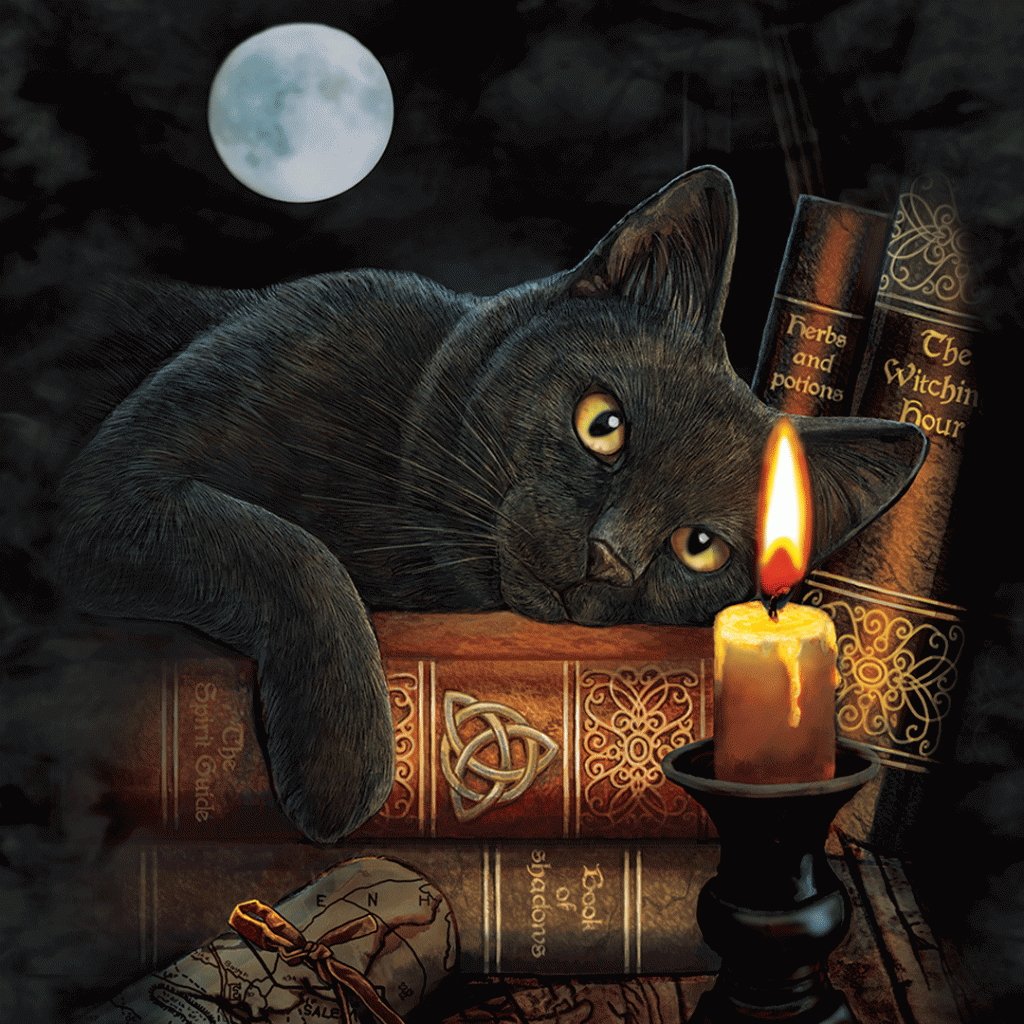 Кот магия