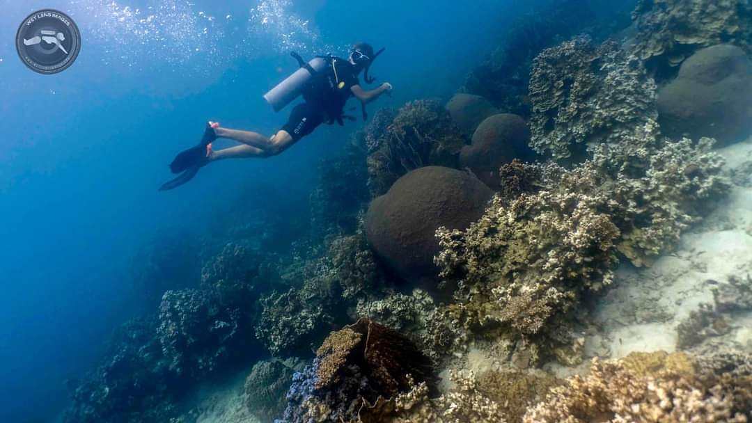 CrystalImagesKT's tweet image. The best view underwater is happy us with healthy corals.

🎥 📸 🎬

*** Personal / group diving course video
*** Multi-type Video Course
*** PADI Rebreather Course
*** Diving courses pre-booking available 

@PADI #Thailand #kohtao #scubadiving #diving #underwater