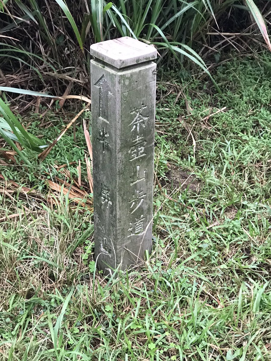 sasha498968's tweet photo. 金瓜石半平山，繞了一大圈終於攻頂了。
#金瓜石
#半平山
#新北市瑞芳區
#台灣
#Taiwan https://t.co/4ce7OjqgcA
