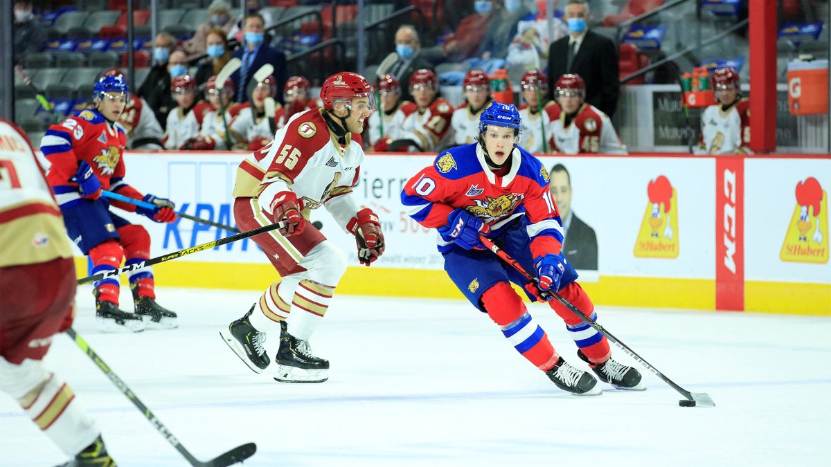 Senators's tweet photo. "There’s for sure that pressure of if you’re going to be drafted or not but that pressure is not there anymore and that’s very exciting.” 

@philippe_daoust is finding his stride after being drafted by the #Sens.

📝 https://t.co/xqQJ5VLgxi https://t.co/0TV6ALd3rb