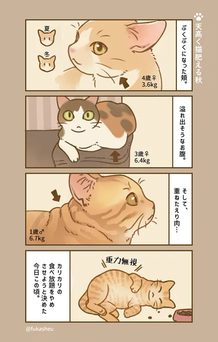 天高く猫肥ゆる秋#猫漫画 #リミル猫日課 