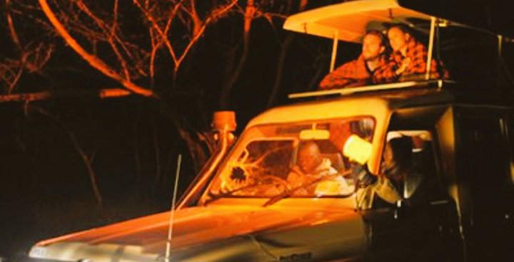 Uwingabire_C's tweet photo. NIGHT GAME DRIVE IN AKAGERA NATIONAL PARK, RWANDA.
Akagera national park is one of the few national parks where you can go on a game drive at the night.
Using spotlights to see animals in the night can be surreal and exciting. #night #myrwanda #remarkable @TemberauRwanda https://t.co/IPtMEbECFh