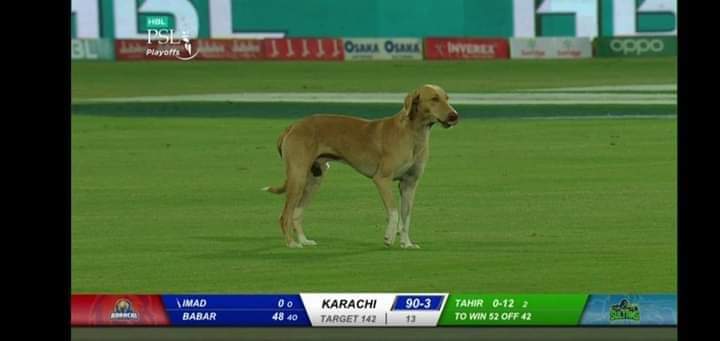 Narendar Modi Spotted In Karachi Ground During Play Off Match .. 😳
#PSL2020 #ReleaseArnabNow
#PSLPlayoffs 
#NarendraModi