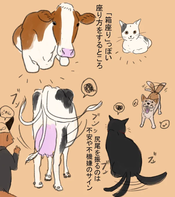 牛さんには何処となく猫っぽい所があるよねって話

#牛イラスト #牛 #牛の魅力を伝えたい 