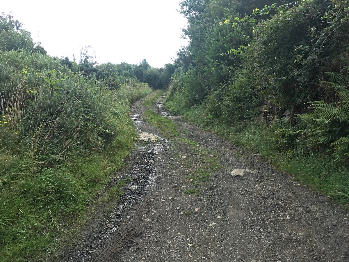 A esto habría que añadir la reducida movilidad de las tropas inglesas en un territorio extraño donde las inclemencias del tiempo podían convertir caminos en lodazales impracticables, donde el equipamiento pesado resultaba más un lastre que una ayuda.