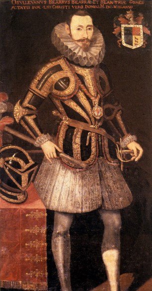 No obstante, habría que dar mérito también al lado irlandés, que liderado por Hugh O’Neill supo mantener una densa estructura de lealtades entre los señores irlandeses, cosa que no era fácil debido a la tendencia al faccionalismo y al cambio de fidelidades puntual.