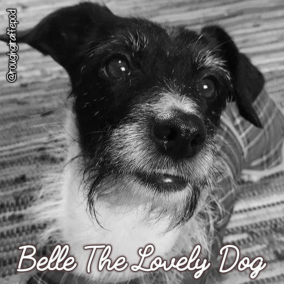 Rough Giraffe - Podcast tweet media