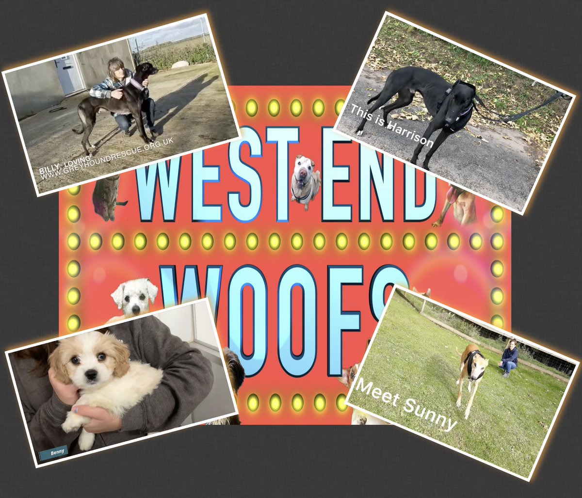 Elaine Paige tweet media