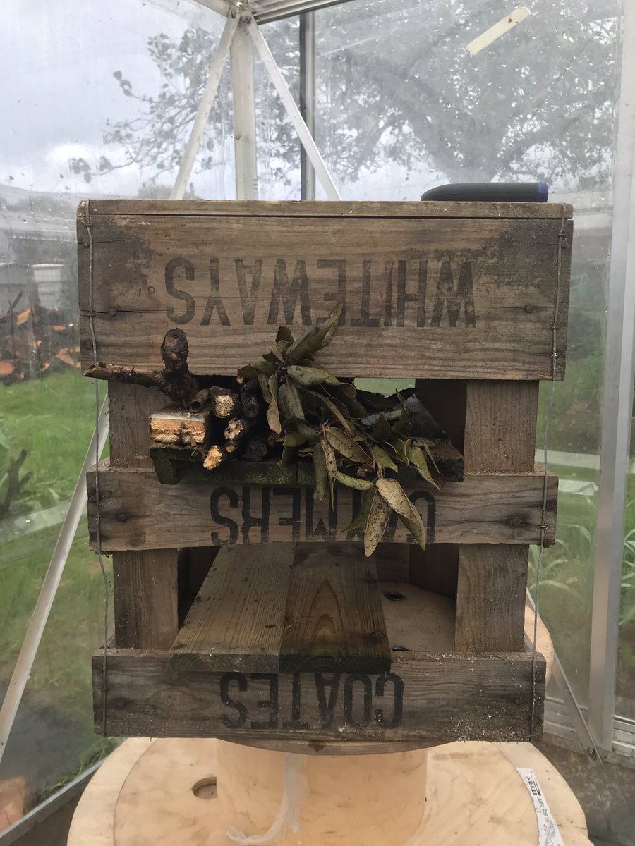 jennyvince150's tweet image. #allotment #lockdownprojects The Bug Hotel - this has been fun  @swirlingpit @blakersm76