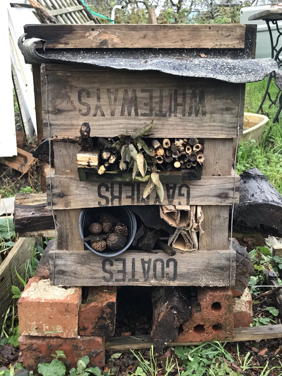 jennyvince150's tweet image. #allotment #lockdownprojects The Bug Hotel - this has been fun  @swirlingpit @blakersm76