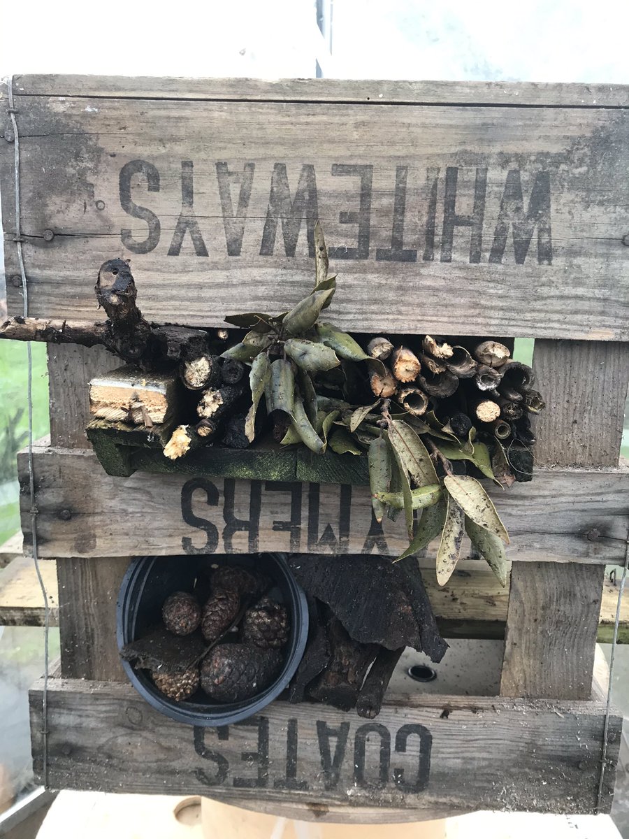 jennyvince150's tweet image. #allotment #lockdownprojects The Bug Hotel - this has been fun  @swirlingpit @blakersm76