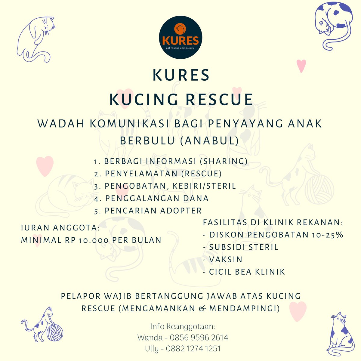 kucingrescue tweet media