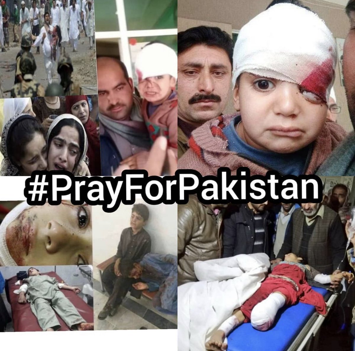 v_ayshan's tweet photo. #KashmirisPakistan 🇵🇰 #PrayForPakistan 🙏🏻 #StopIndia https://t.co/PYCLY2Jso2