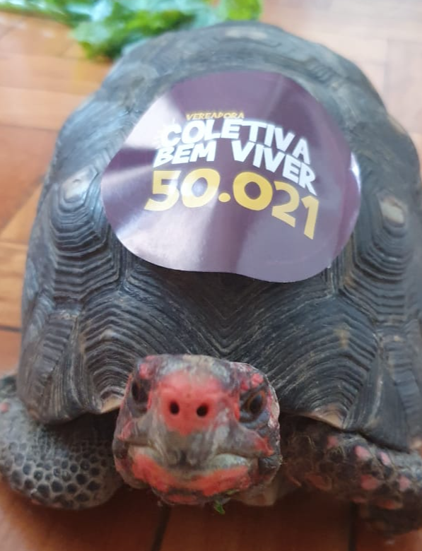 ondabemviver's tweet photo. O Milton já sabe em quem vai votar. E você??

Nesse domingo, faça que nem o Milton! É 50.021 e 50 na urna (; https://t.co/bbogiWHGy0