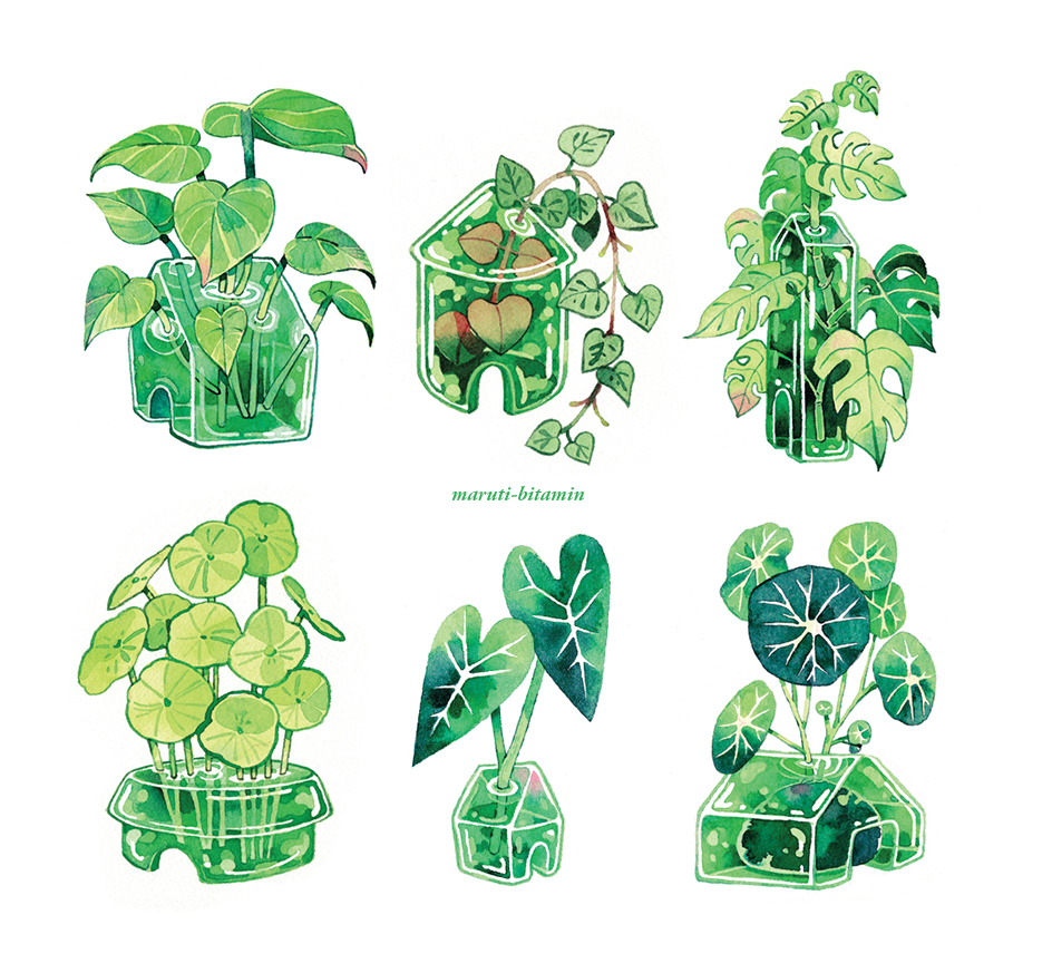 maruti_bitamin's tweet image. house plants 🌱🏠🌱