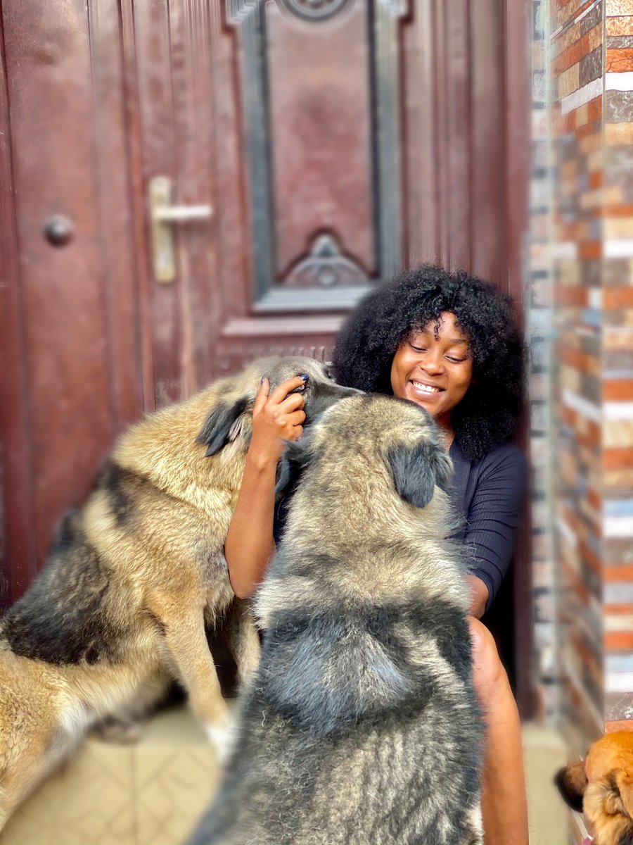 TheLotaChukwu's tweet photo. My babies missed me ❤️ https://t.co/5EZmCM6kkq