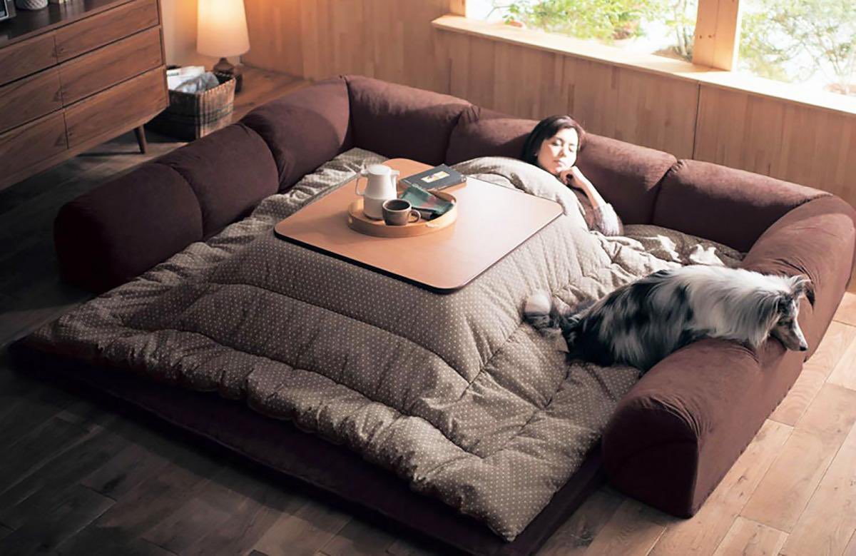 Nilkski_'s tweet photo. God I need a kotatsu in my house https://t.co/eL9IGg5N9J