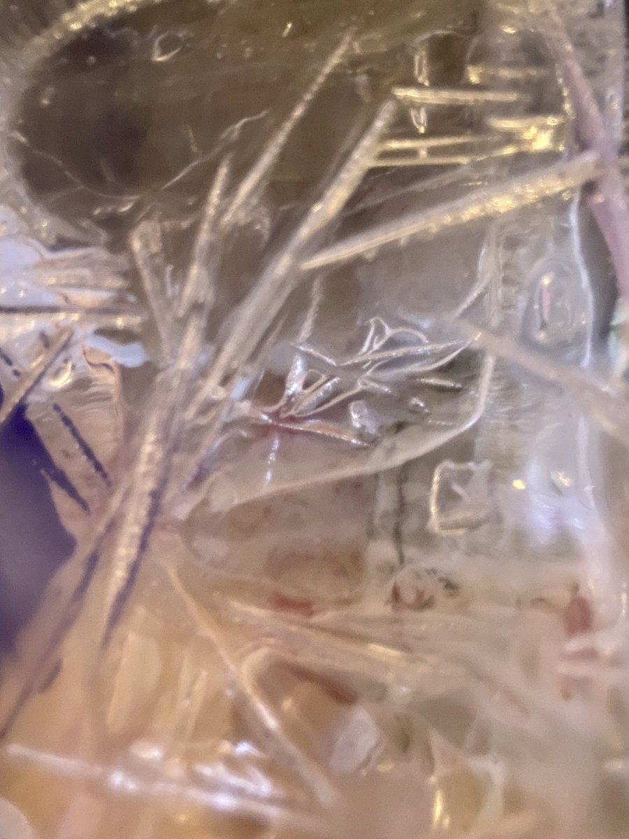 annaphylaxis76's tweet image. #FrozenArt