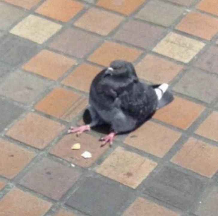 now it’s just lwj and wwx and the steadily-dampening seats of their pants, sitting around in the snow in their uniqlo puffers