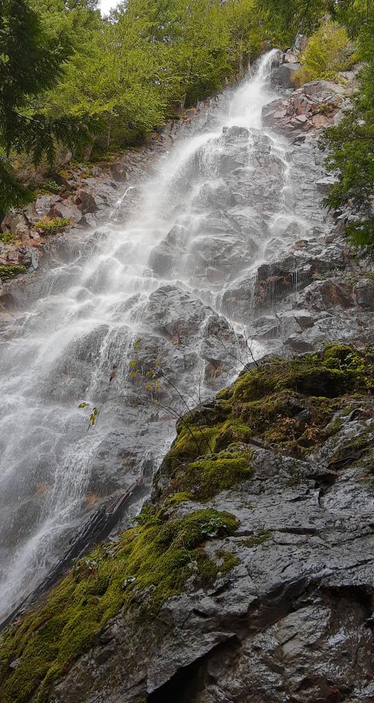 Ron Ron Cheng, MD tweet media