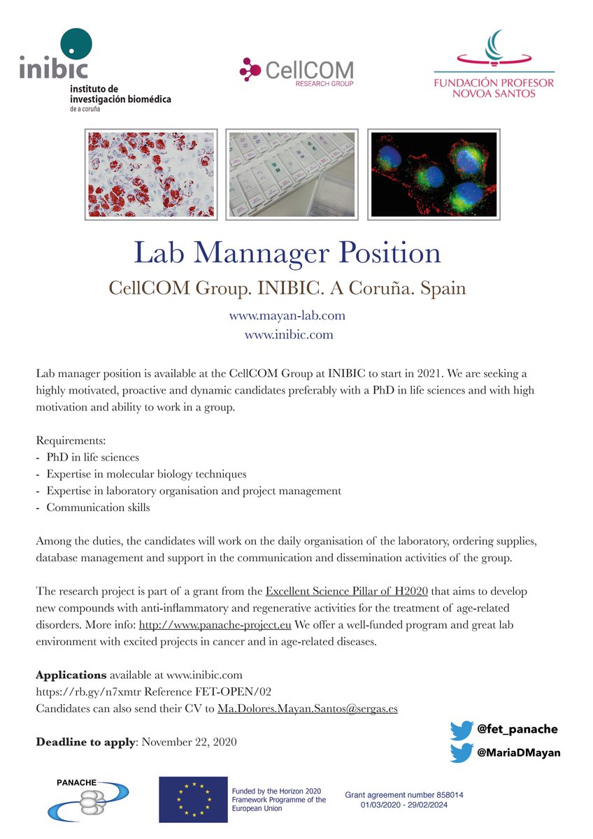 Dr. María D. Mayán tweet media