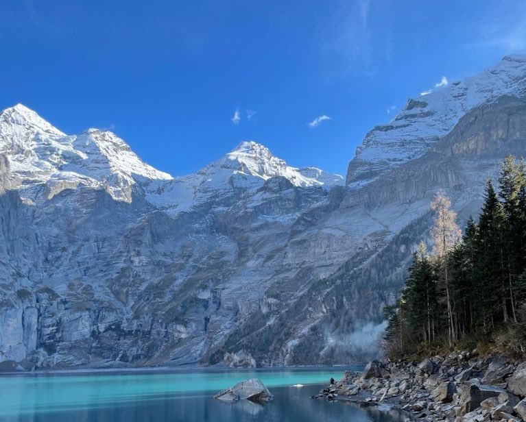 Camille Lanci tweet media