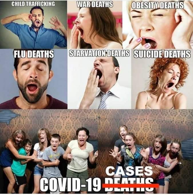 KBFDevlin's tweet image. #SayNoToLockdown #TheGreatAwakeningWorldwide #KBF