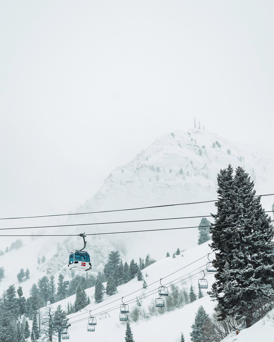 18 inches this morning... Not bad, not bad at all ❄️😍