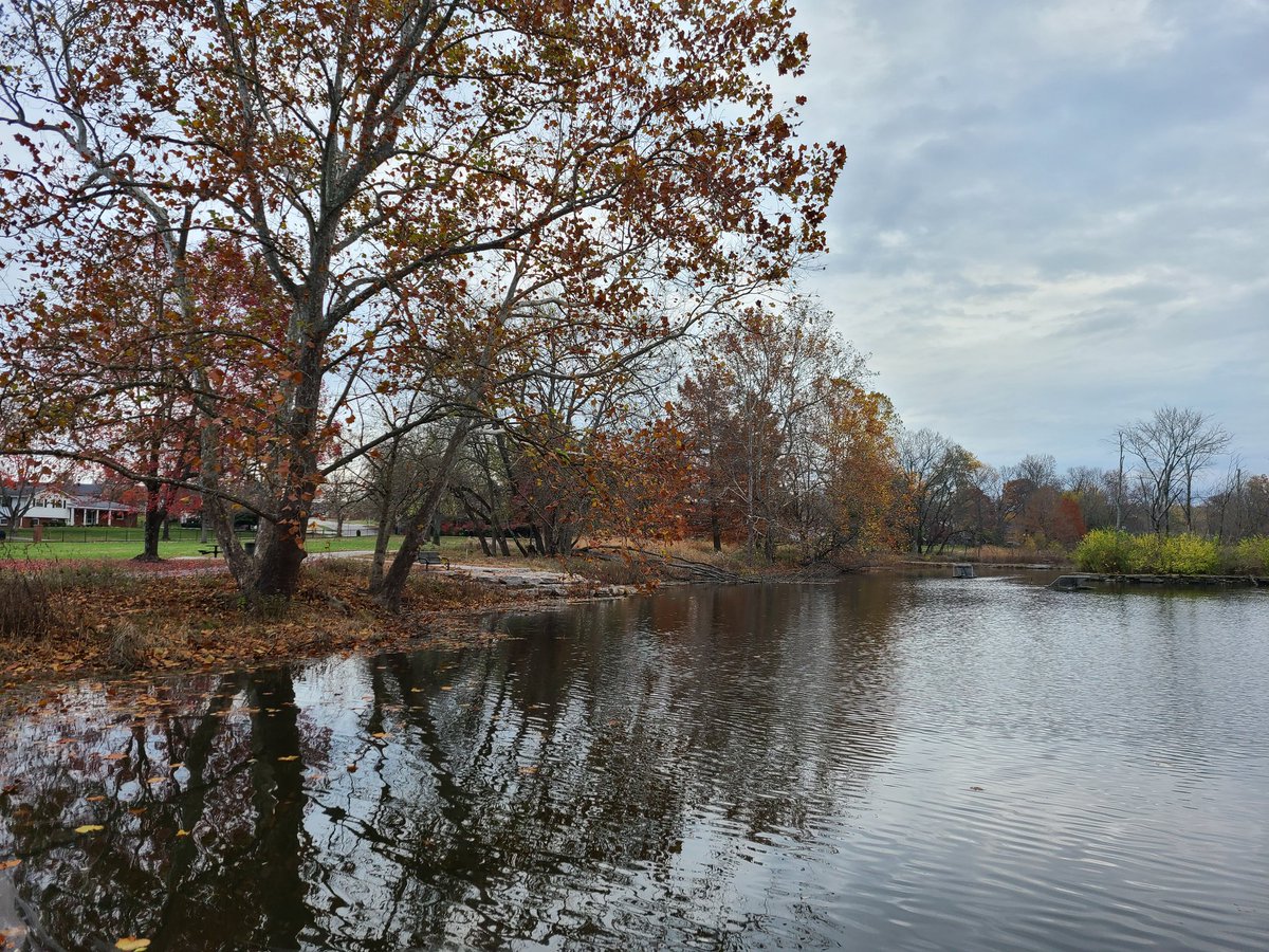 jasonats's tweet photo. Took my daughter to a local park so she could get pics for her digital imaging class and decided to snap a few of my own. #KentuckyFall https://t.co/h8shvapfmO