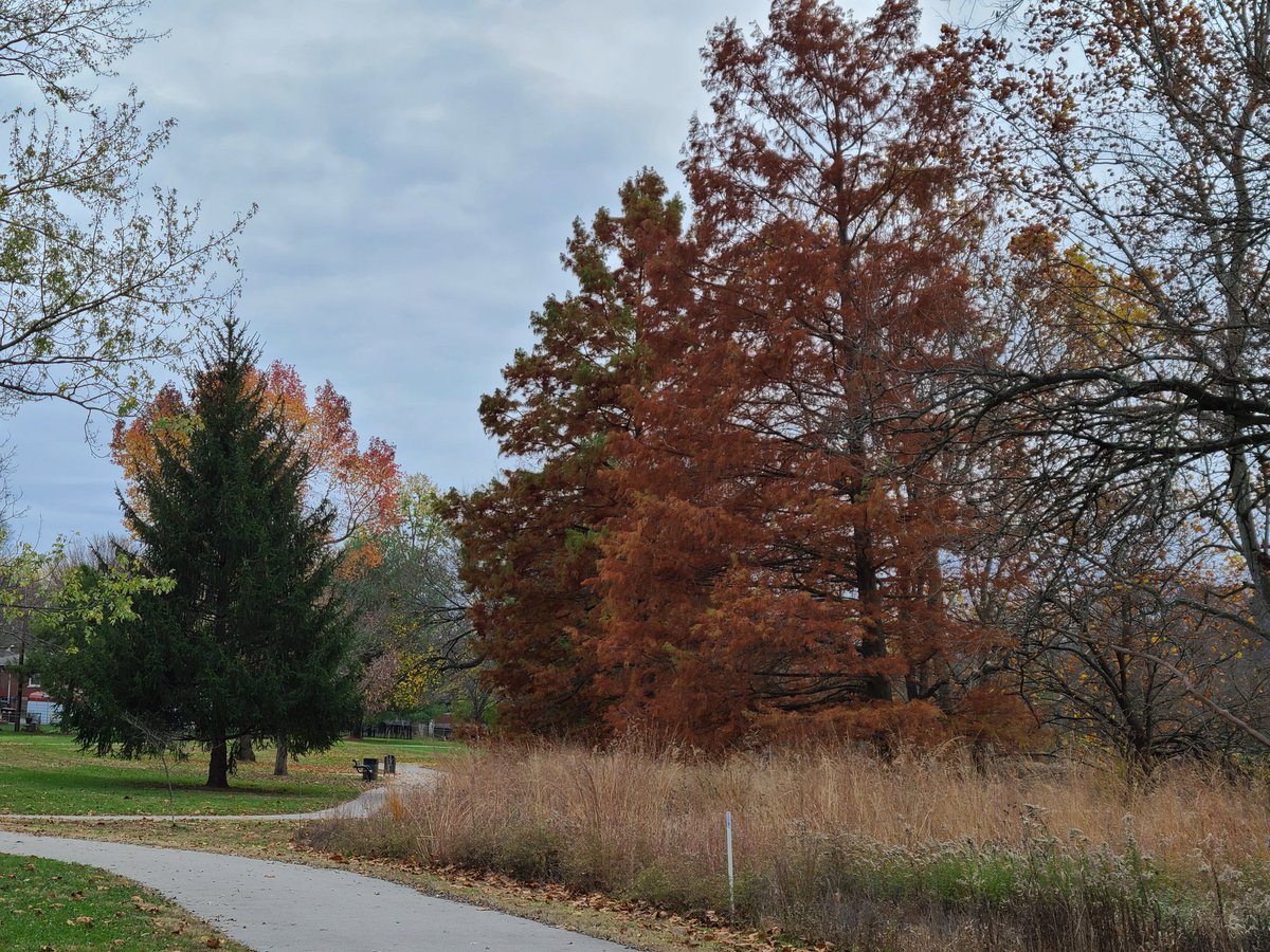 jasonats's tweet photo. Took my daughter to a local park so she could get pics for her digital imaging class and decided to snap a few of my own. #KentuckyFall https://t.co/h8shvapfmO