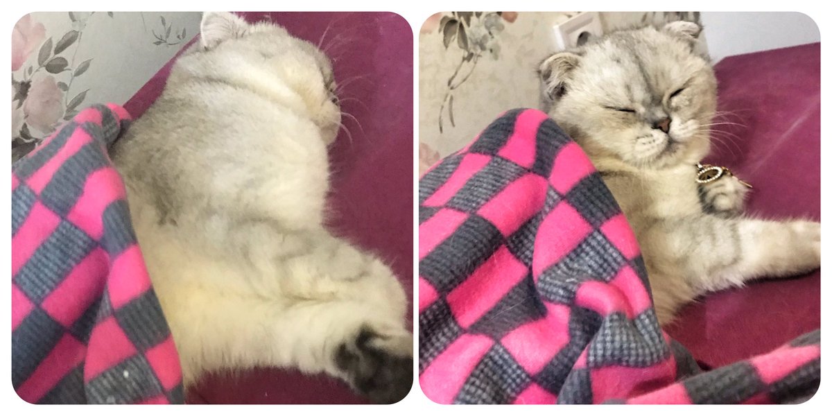 Ya yatıcam diyorum neden anlamak istemiyorsun kapatırmısın ışığı