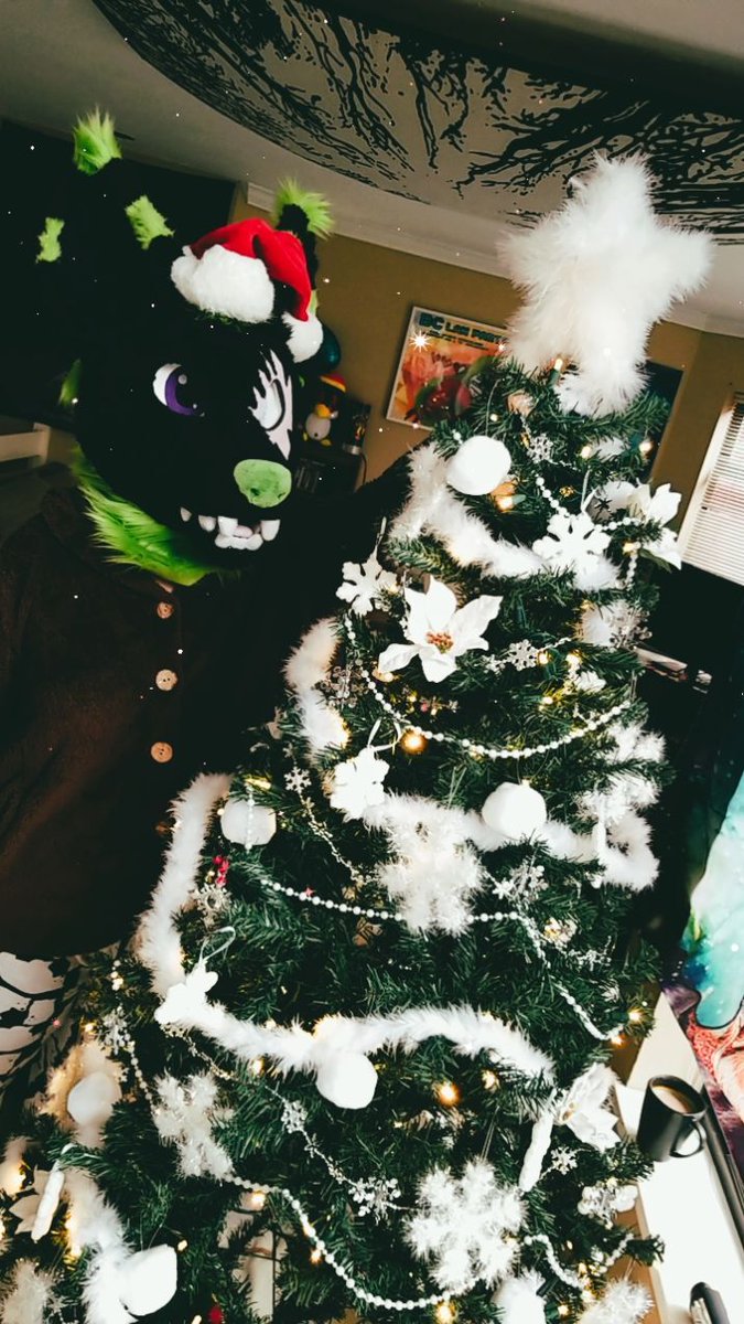 Setting up the tree with <a href="/RenTheFox/">RɘN 🇨🇦 @Howl 25</a> as we get into the Christmas season! 

Suit made by @PartyDogFursuit 
Check out their stuff! They do awesome work!
